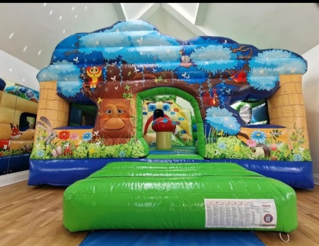 Bouncy Castles + Inflatables — 12