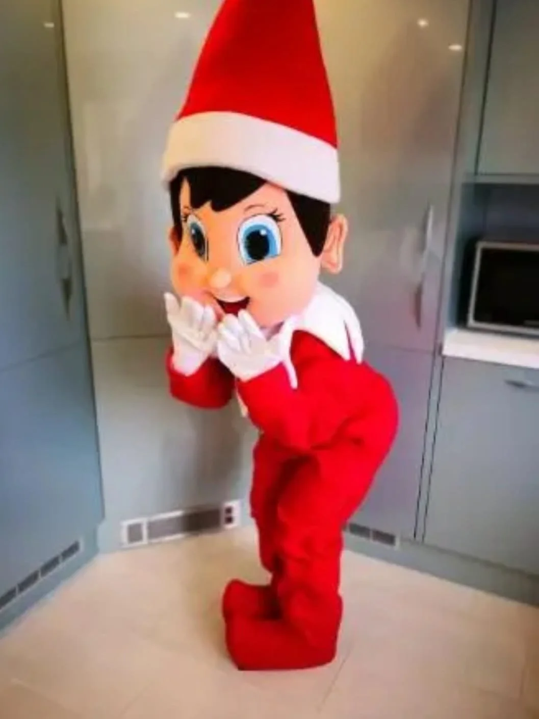 Mascots — 1